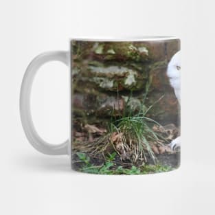 snow owl 2 / Swiss Artwork Photography Mug